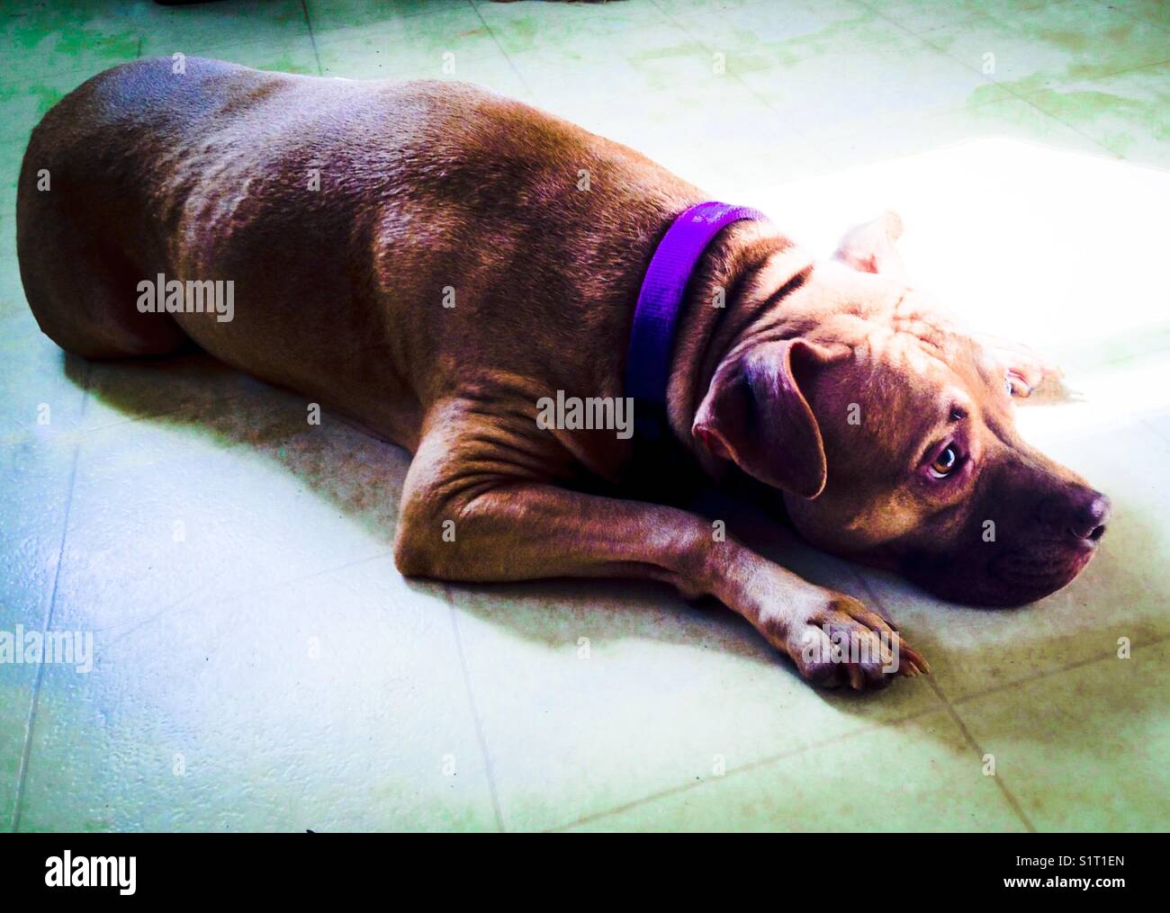 Waiting for snacks - Smartphone Captured Stock Image