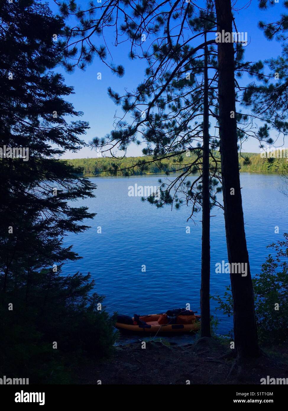 Inflatable Kayak At Shady Forest Shore Lake Portrait Stock Photo Alamy