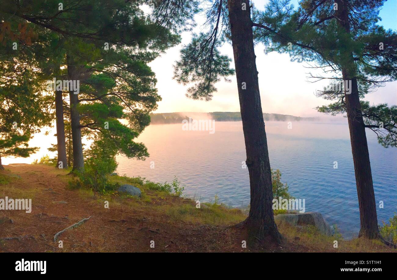 Rock Outcrops At Shady Lake Forest Shore With Fog Stock Photo Alamy