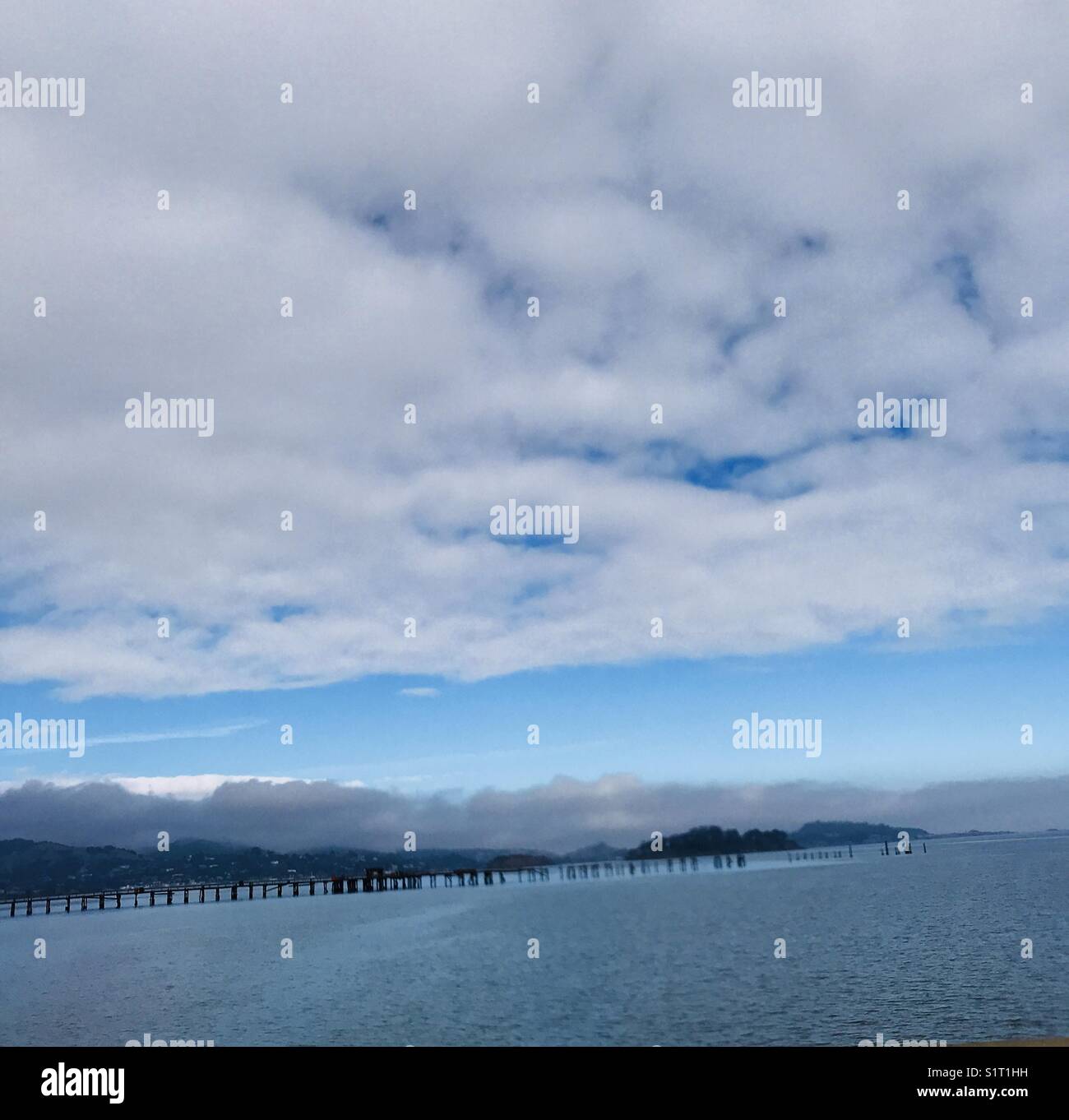 Shot fr moving car - Smartphone Captured Stock Image