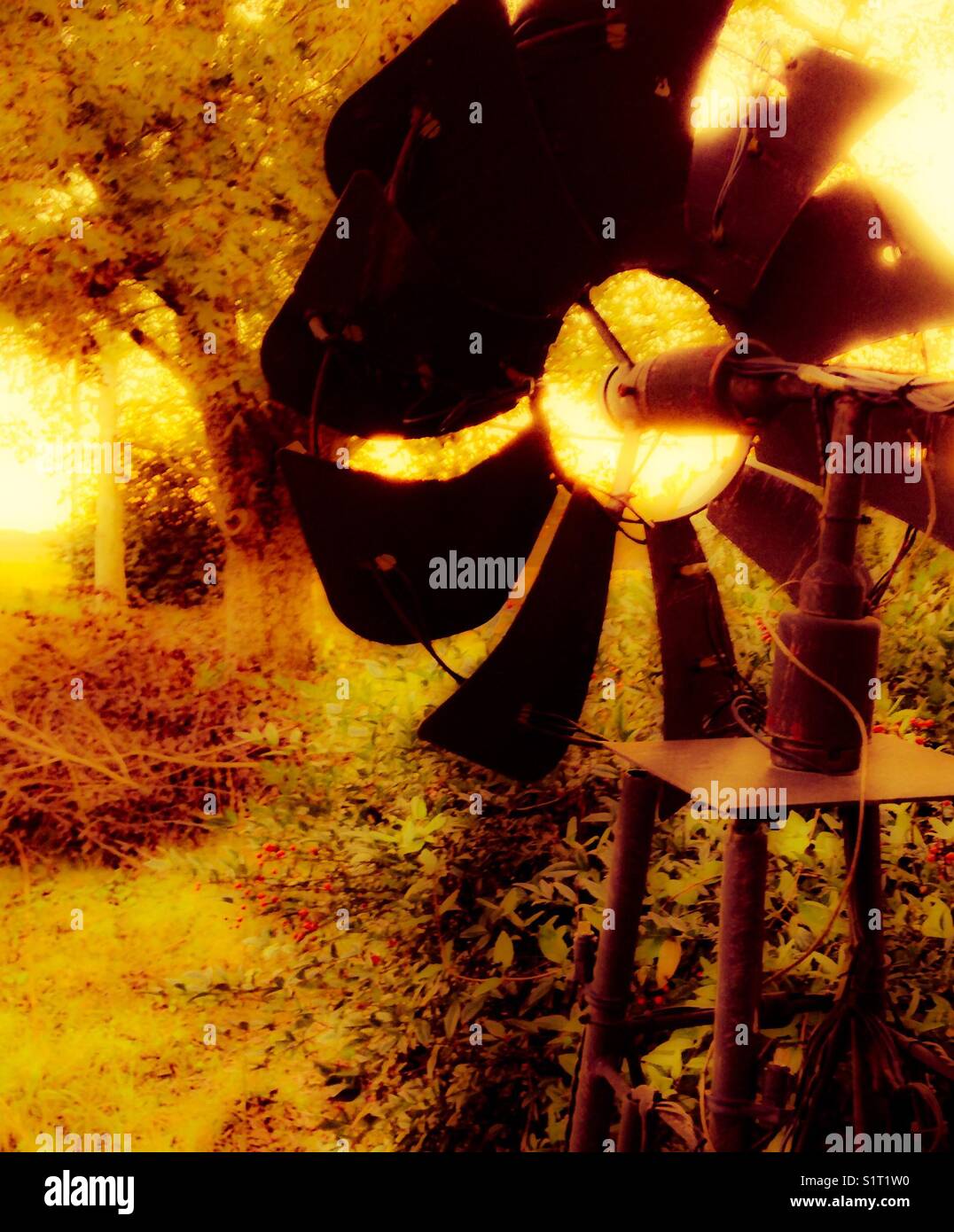 Golden cast on photo of windmill by trees - Smartphone Captured Stock Image