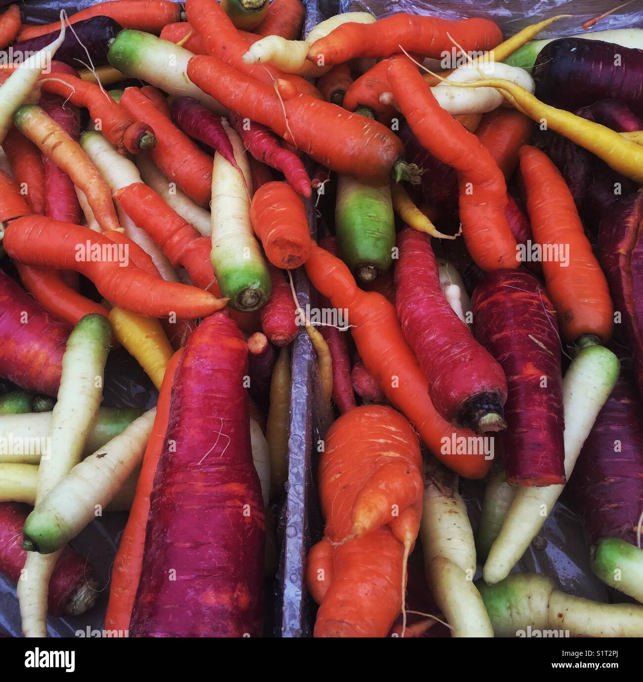 Rainbow Carrots at Market Stock Photo