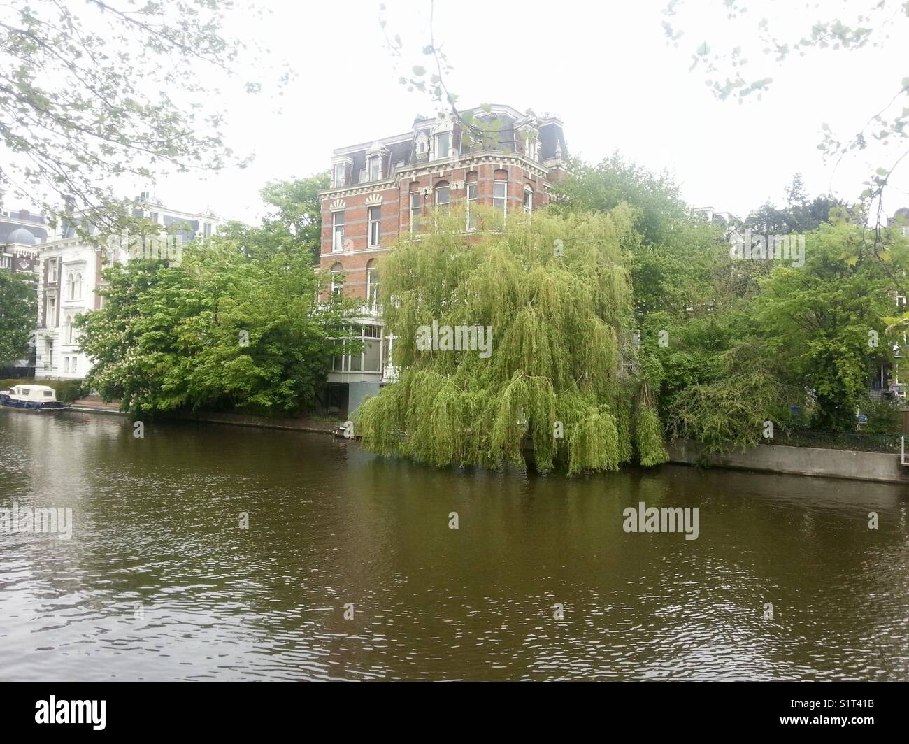 A beautiful willow tree near main channel in amsterdam Stock Photo