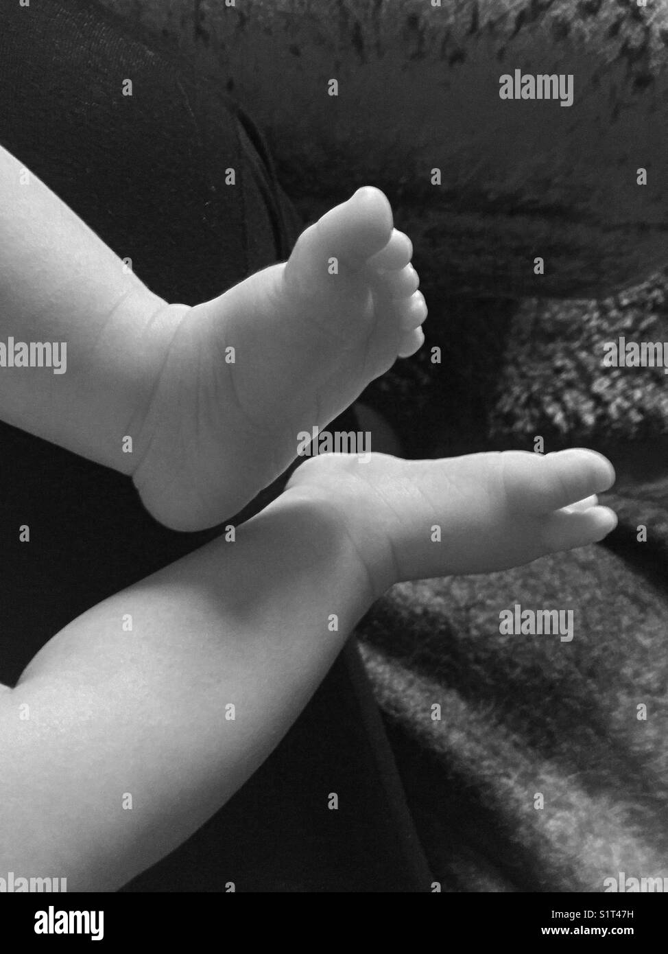 Babie’s feet and legs Stock Photo Alamy