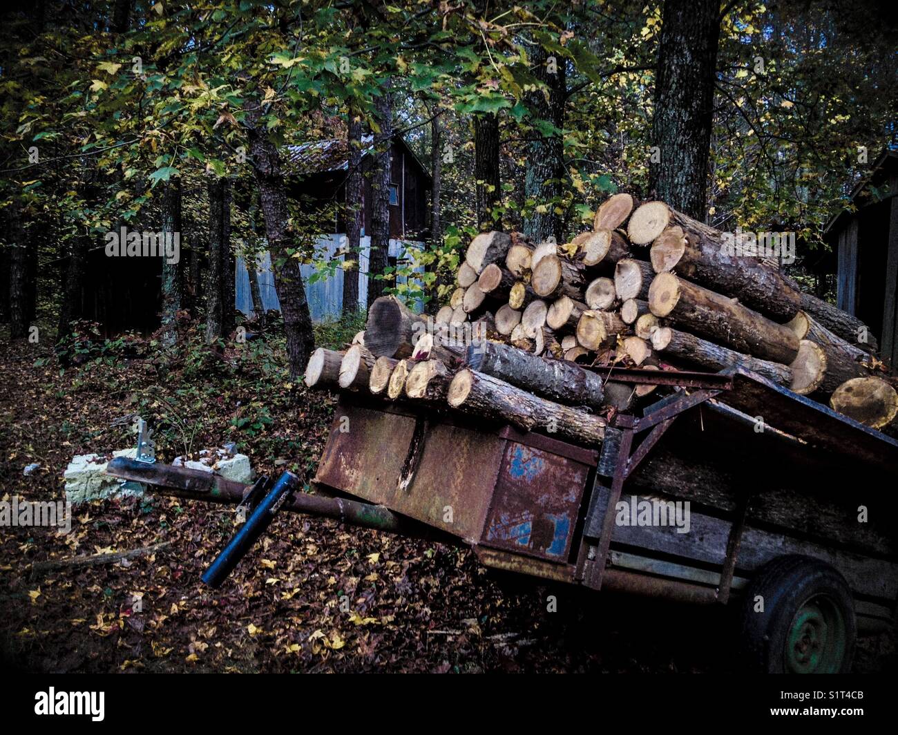 Stacked firewood in a trailer - Smartphone Captured Stock Image