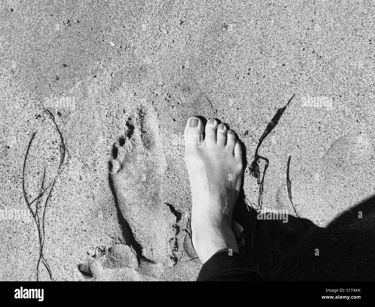 Footprint in the sand Stock Photo Alamy