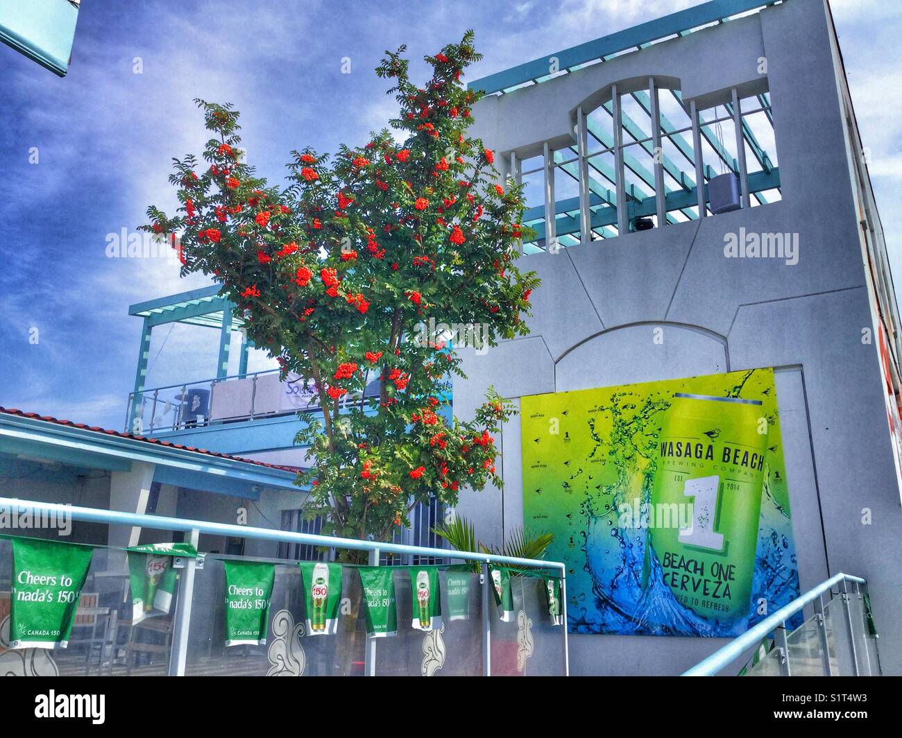 Beer patio in Collingwood, Ontario, Canada Stock Photo Alamy