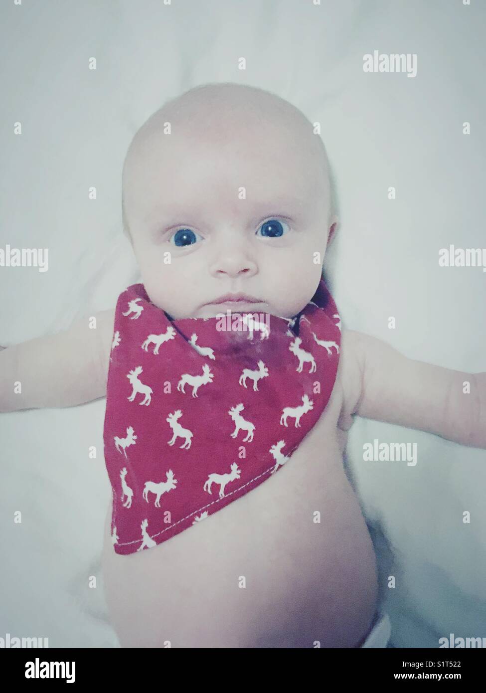 Baby in a red bandanna Stock Photo Alamy