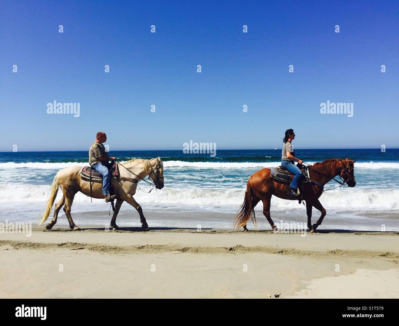 Riding horses on the beach Stock Photo Alamy