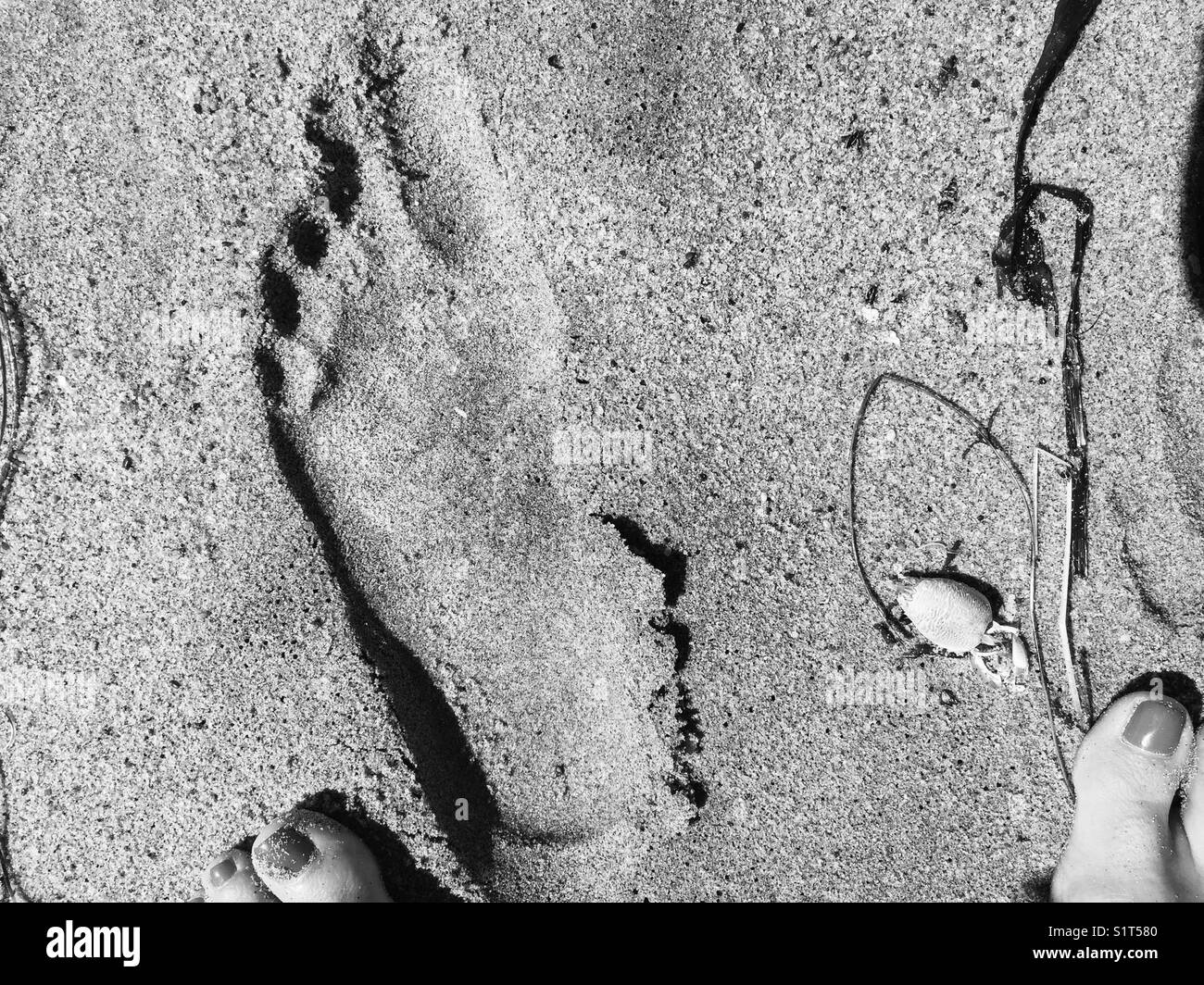 Footprint in the sand Stock Photo Alamy