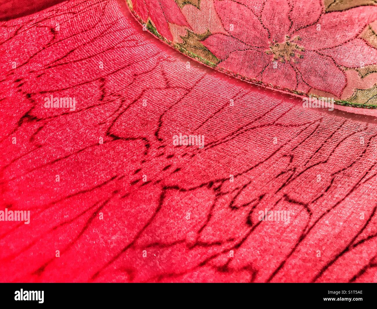 Poinsettia wire ribbon, backlit with shadow on red - Smartphone Captured Stock Image