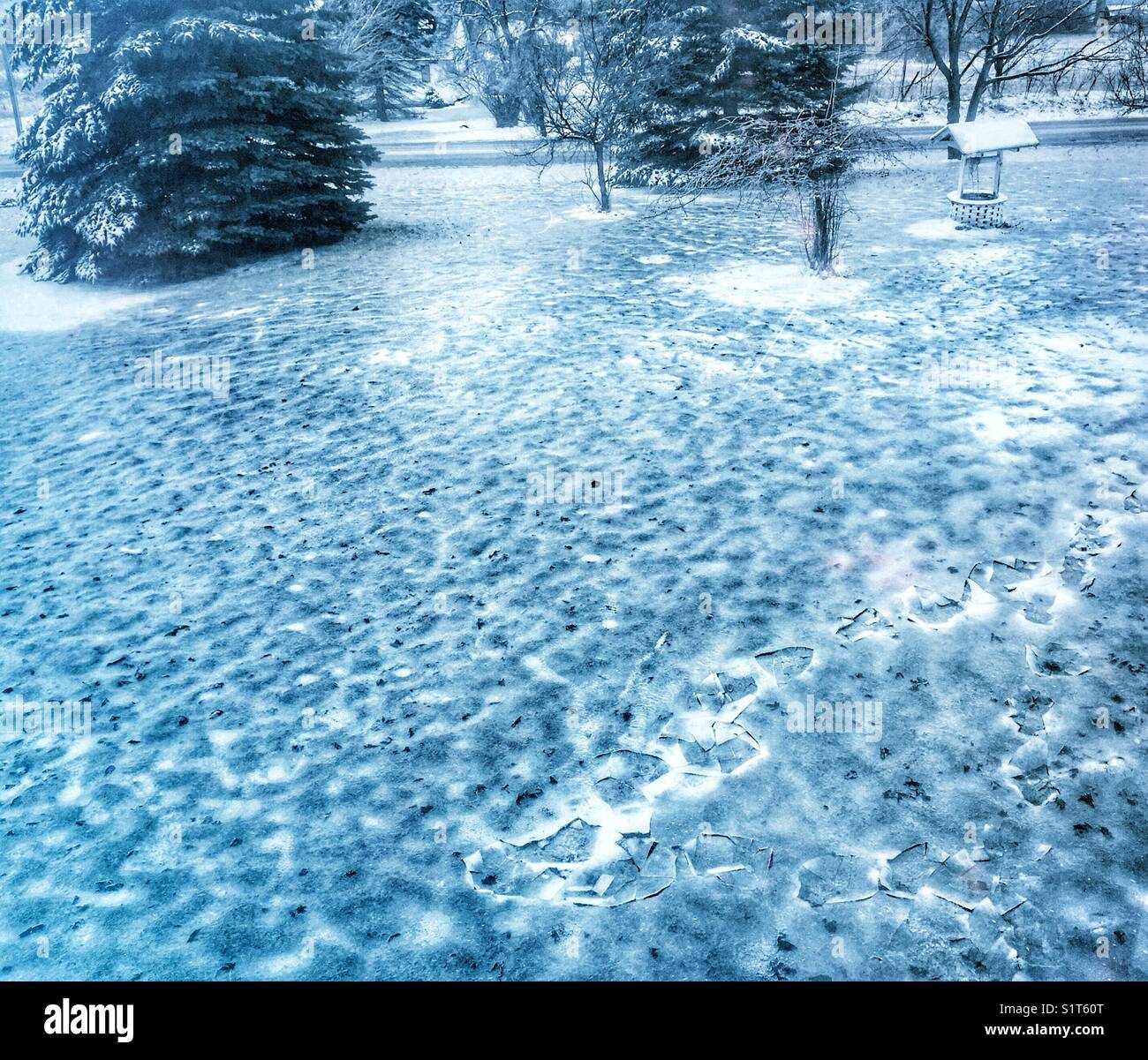 Ground covered in ice after an ice storm in Ontario, Canada - Smartphone Captured Stock Image