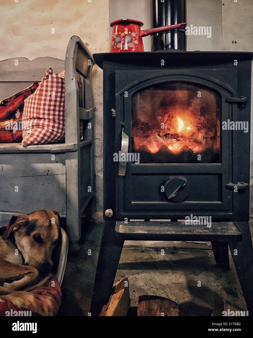 Cozy Dog Fireplace