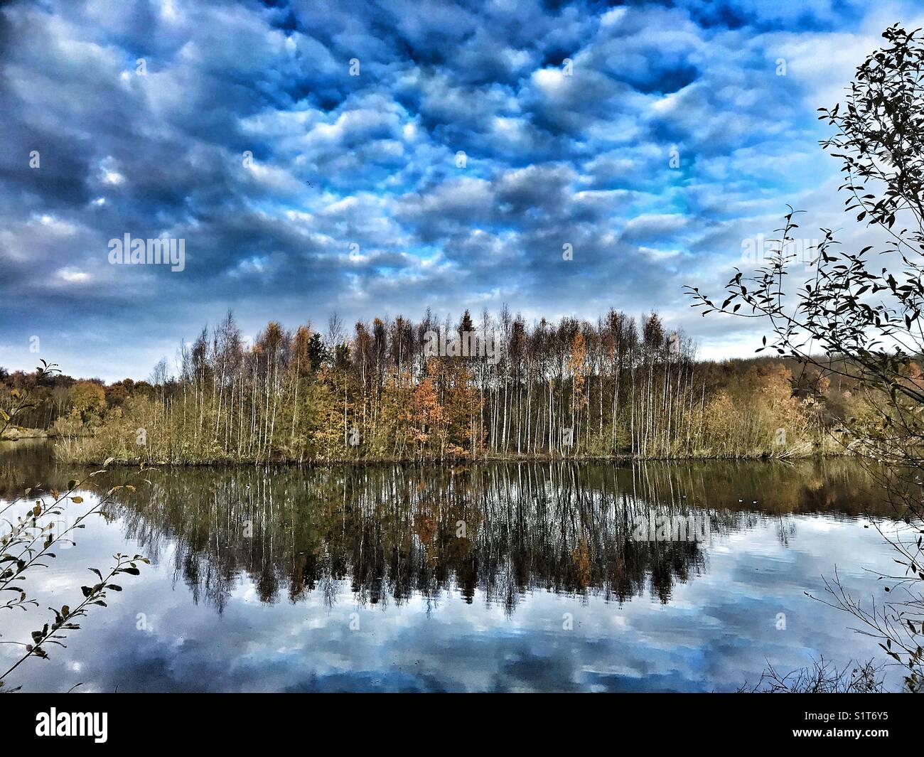 Birchwood Pool, seen from Birch Strip Hide at Moore Nature Reserve, near Warrington - Smartphone Captured Stock Image