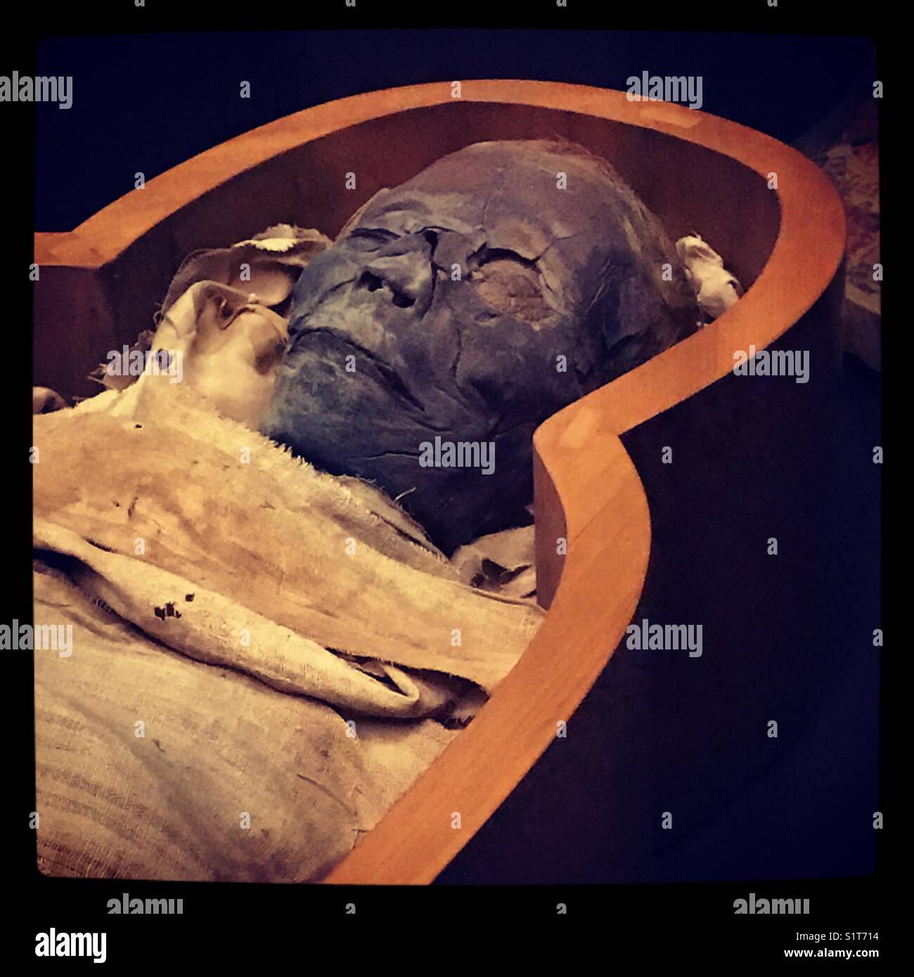 Ancient Egyptian mummy - Smartphone Captured Stock Image