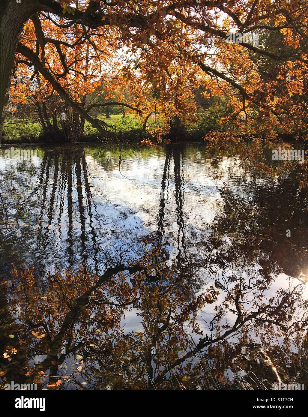 Fall Pond Reflections Reflections leaves pond hi-res stock photography and images - Alamy