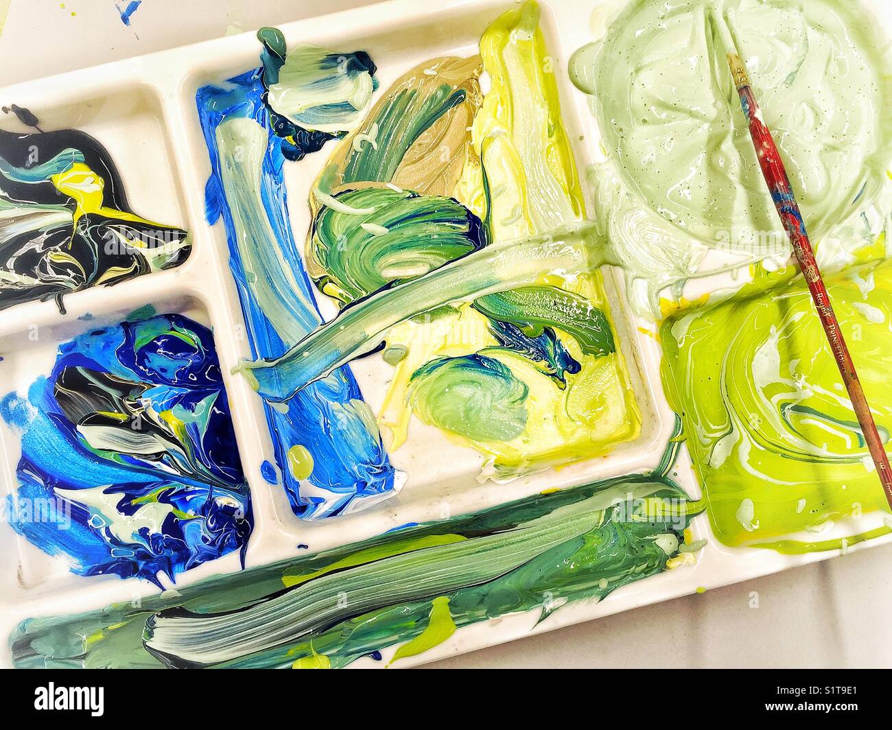 Large tray used as a palette for mixing tempera paints Stock Photo Alamy
