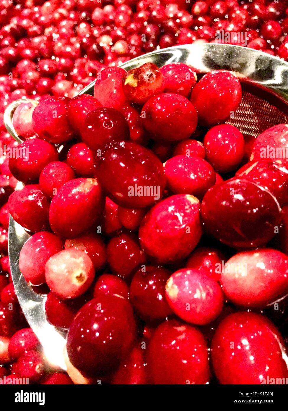 Cranberries in water Stock Photo Alamy