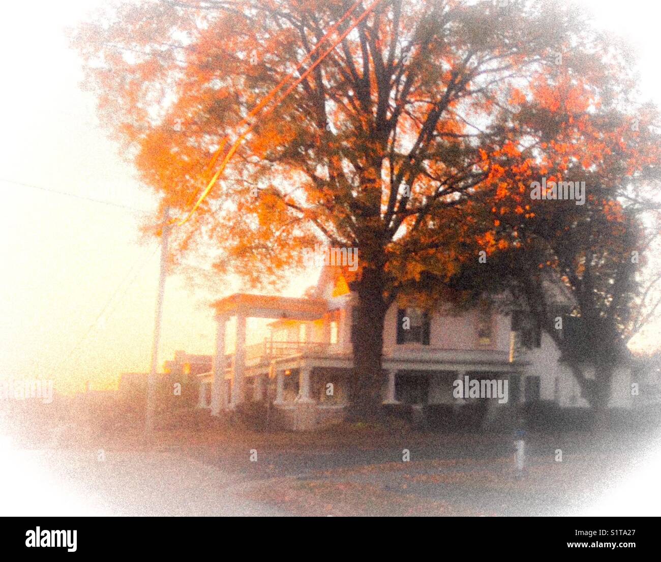 Misty dawn lighting on White House - Smartphone Captured Stock Image