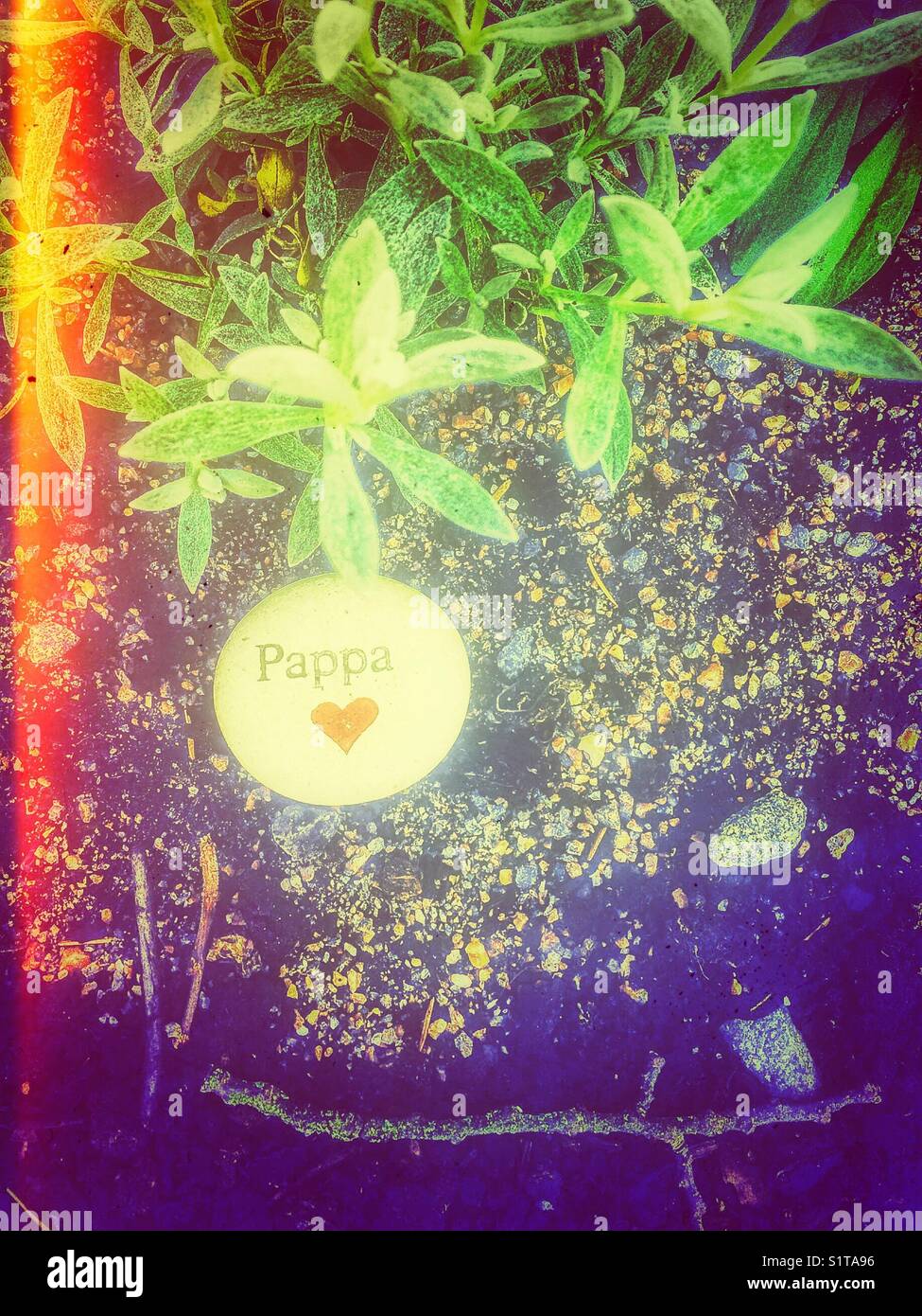 Pappa written on pebble on grave, Sweden Stock Photo