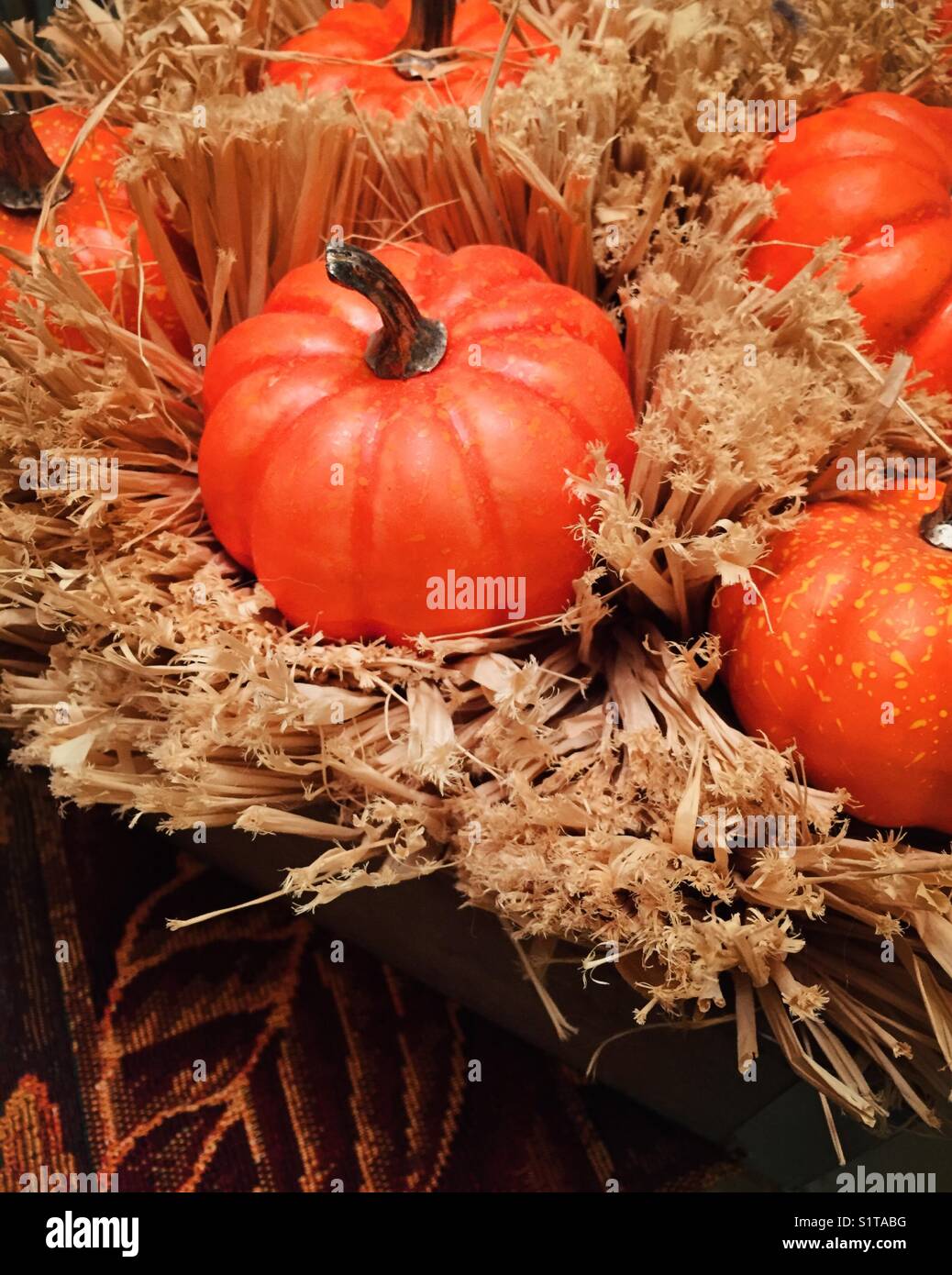 Thanksgiving display of small pumpkins and hay, USA Stock Photo