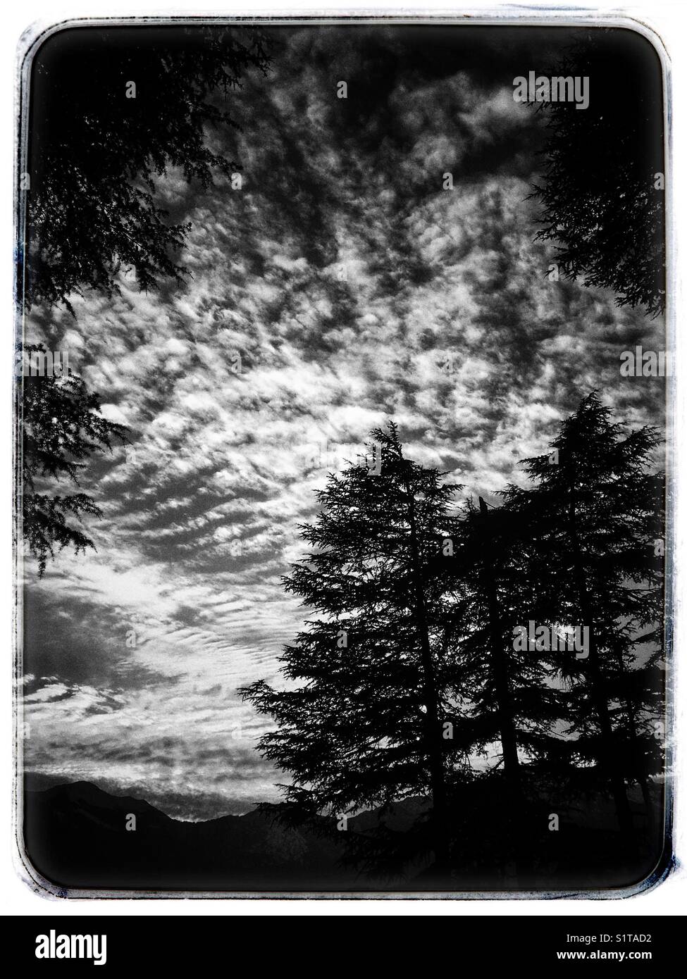 An evening view of sky in Manali. - Smartphone Captured Stock Image