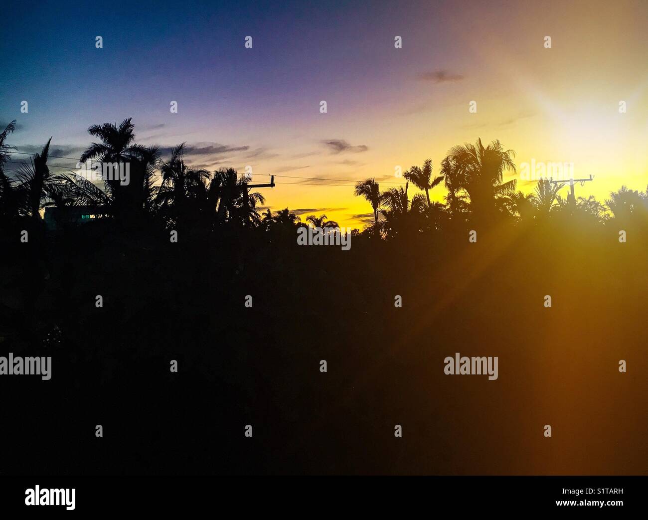 Tropical sunset - Smartphone Captured Stock Image