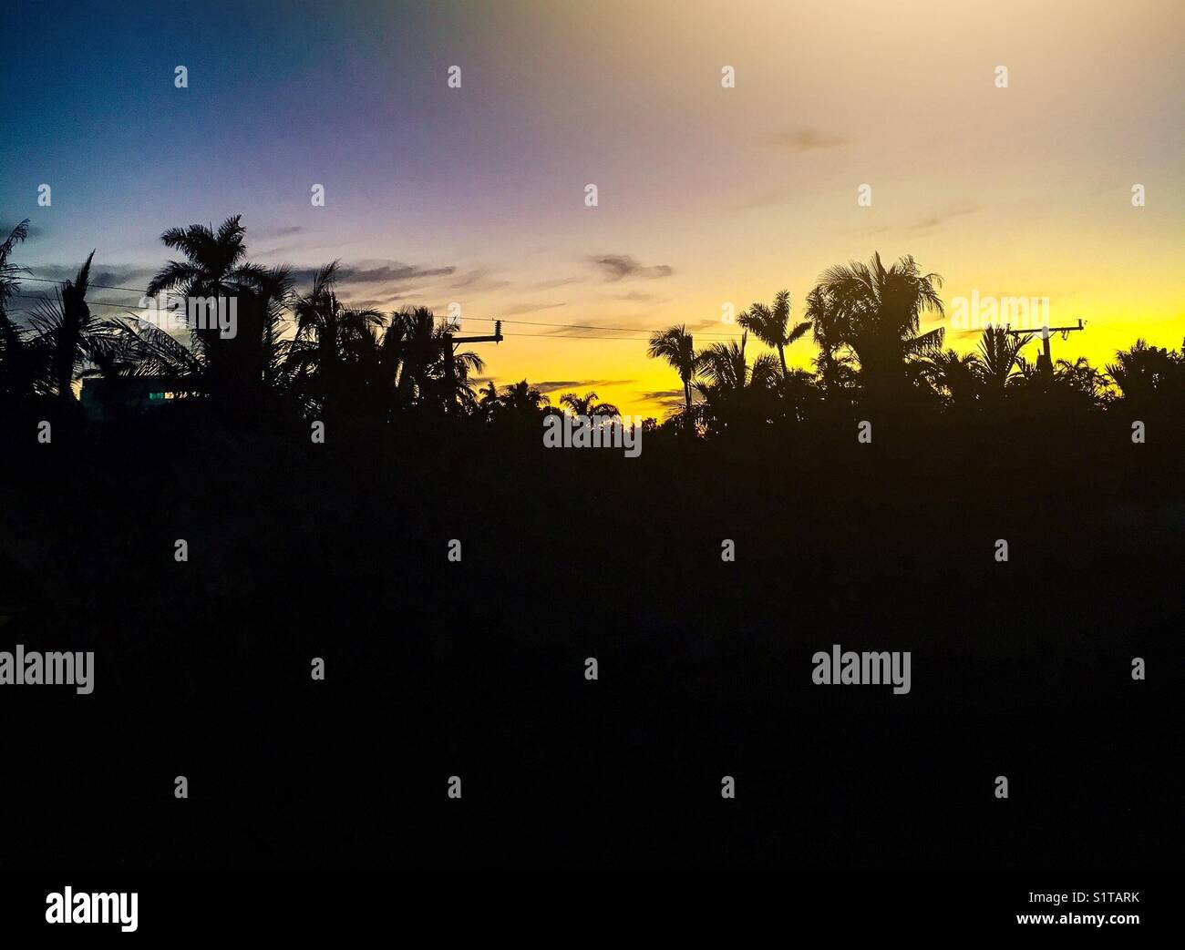 Tropical sunset - Smartphone Captured Stock Image