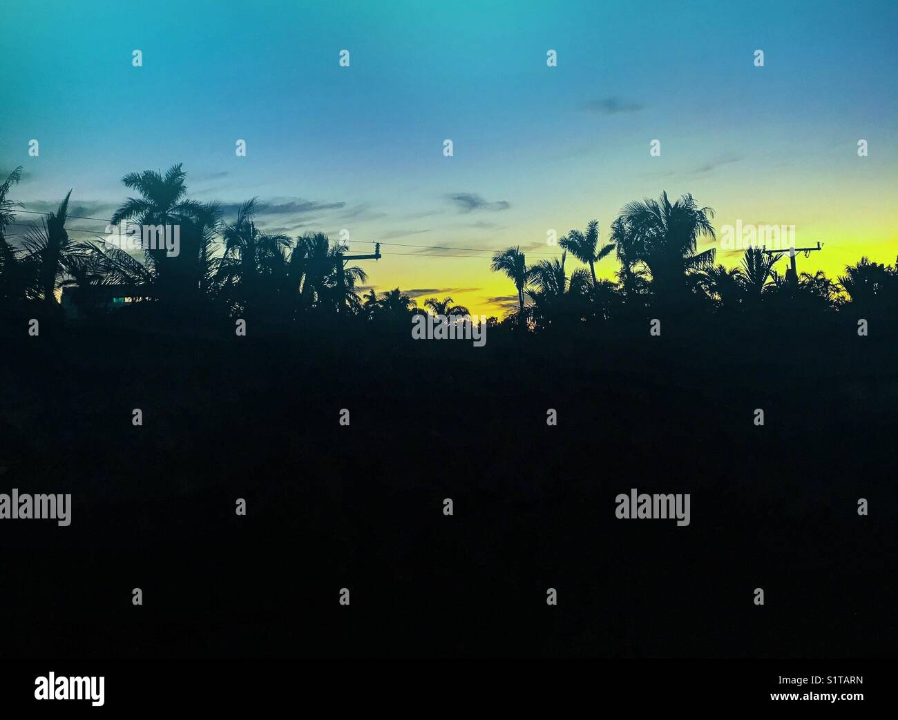 Tropical sunset - Smartphone Captured Stock Image