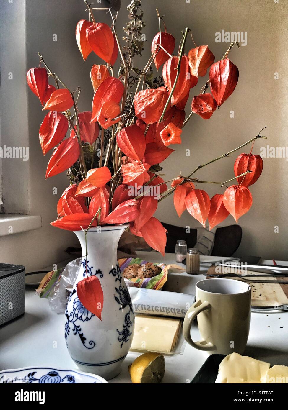 Physalis Chinese lantern in vase Stock Photo