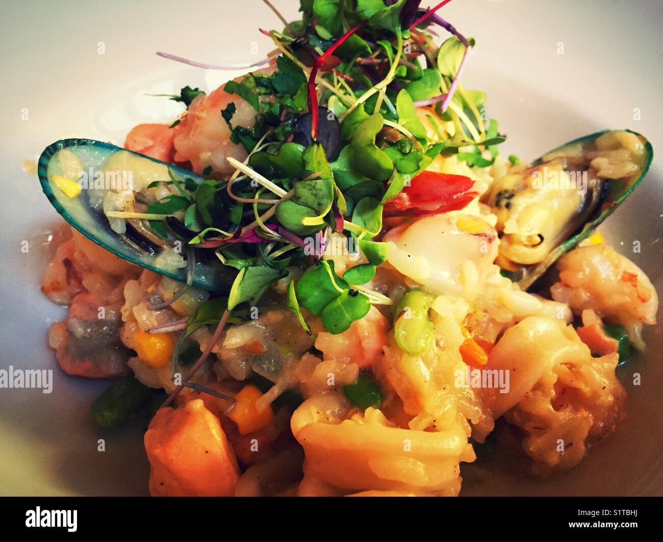Greek seafood risotto at gourmet restaurant, New York City, USA Stock