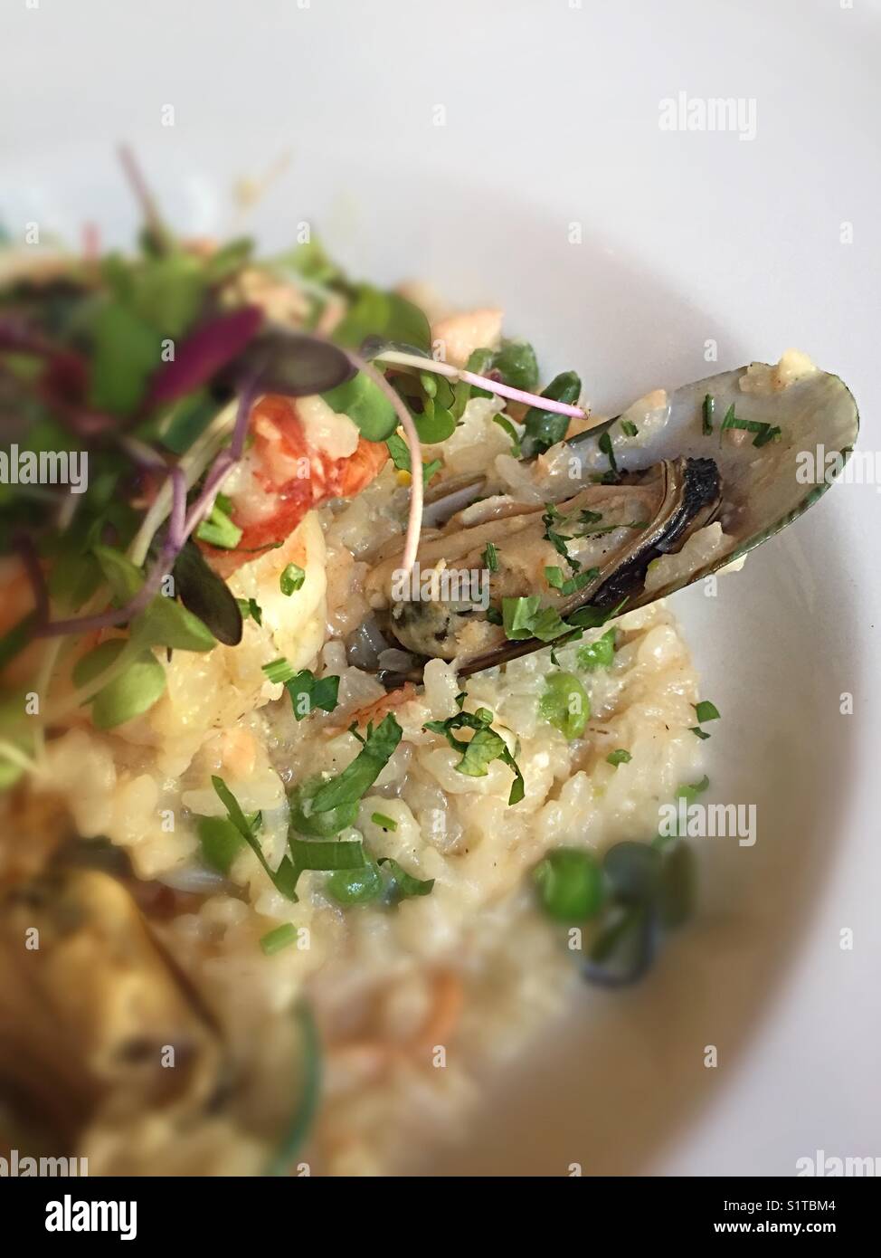 Greek restaurant new york hires stock photography and images Alamy