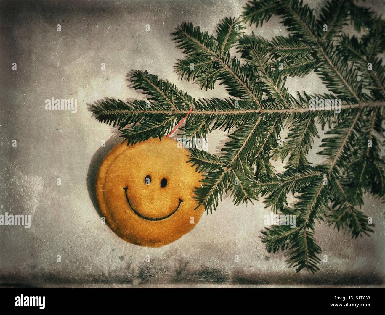 Smiley toy hanging on a spruce tree branch - Smartphone Captured Stock Image