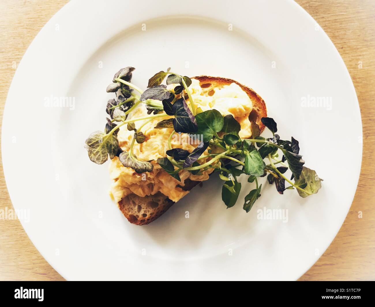 Scrambled egg on toast, white plate - Smartphone Captured Stock Image