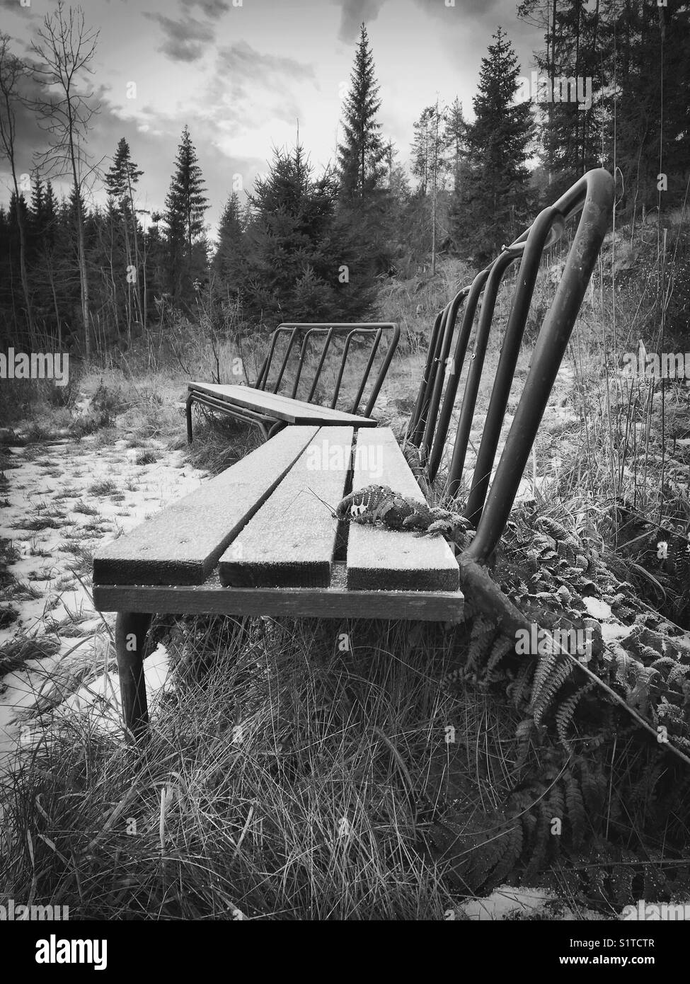 Two Old Park Benches Left In The Forest Stock Photo 310938231 Alamy