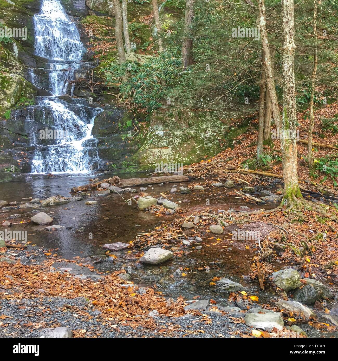 Buttermilk falls in New Jersey Stock Photo - Alamy