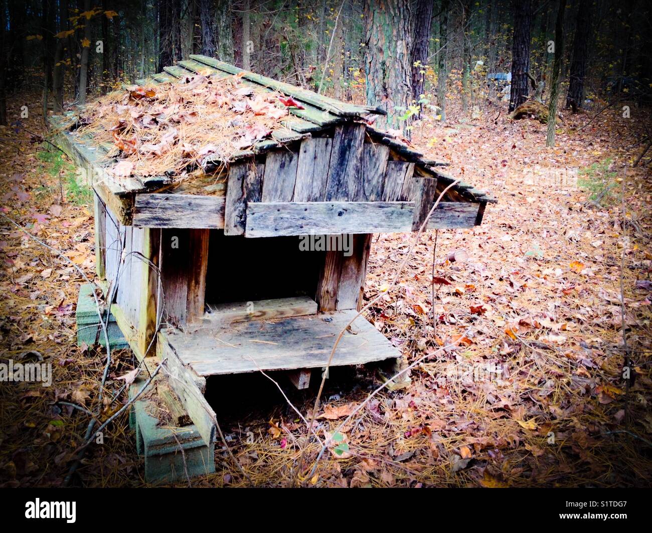 Decaying doghouse - Smartphone Captured Stock Image