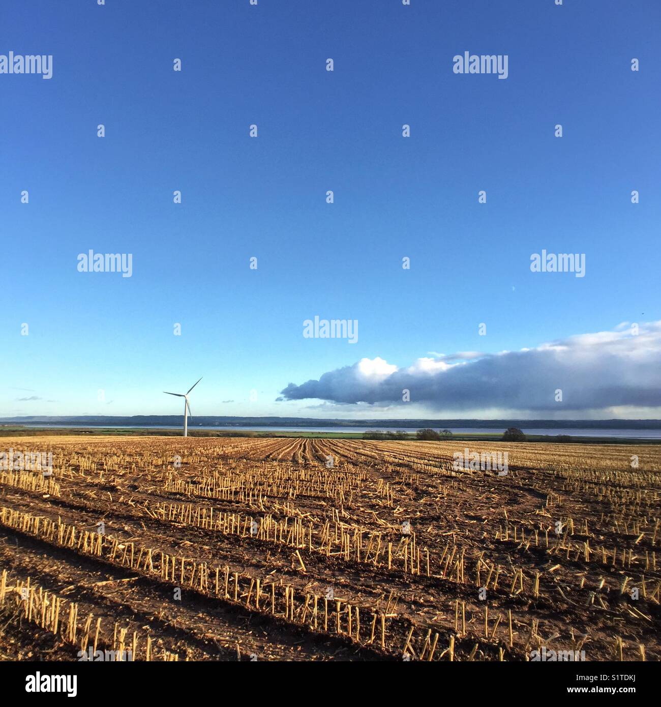 Wind Turbine in a field - Smartphone Captured Stock Image