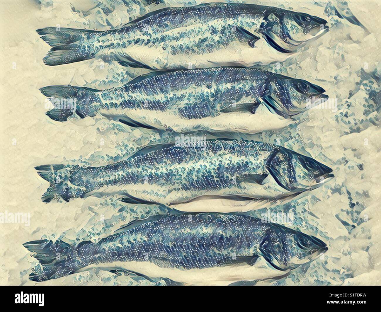 Fresh fish local produce from the market - Smartphone Captured Stock Image