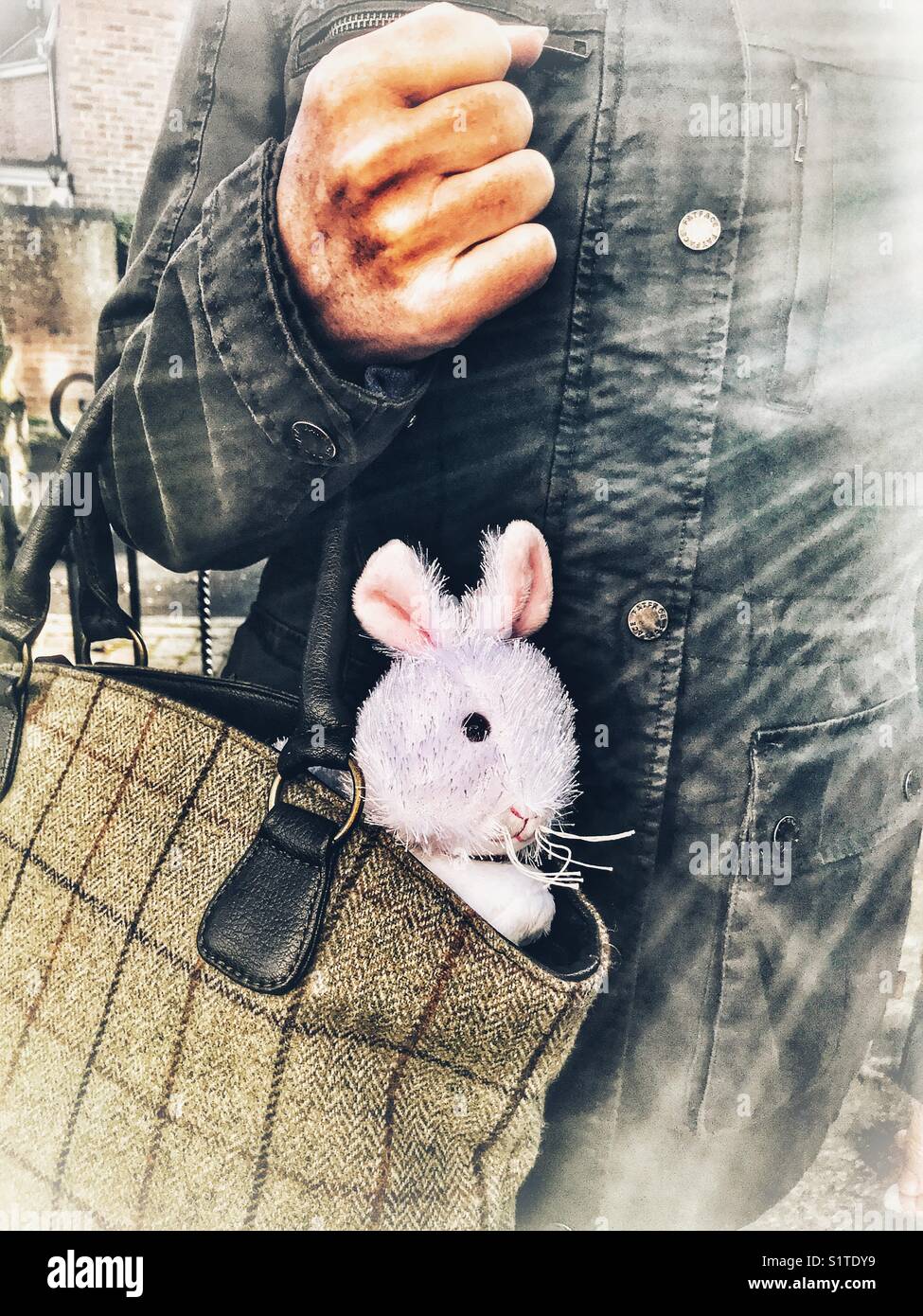 Working mother with a large white rabbit sticking out of her handbag ...