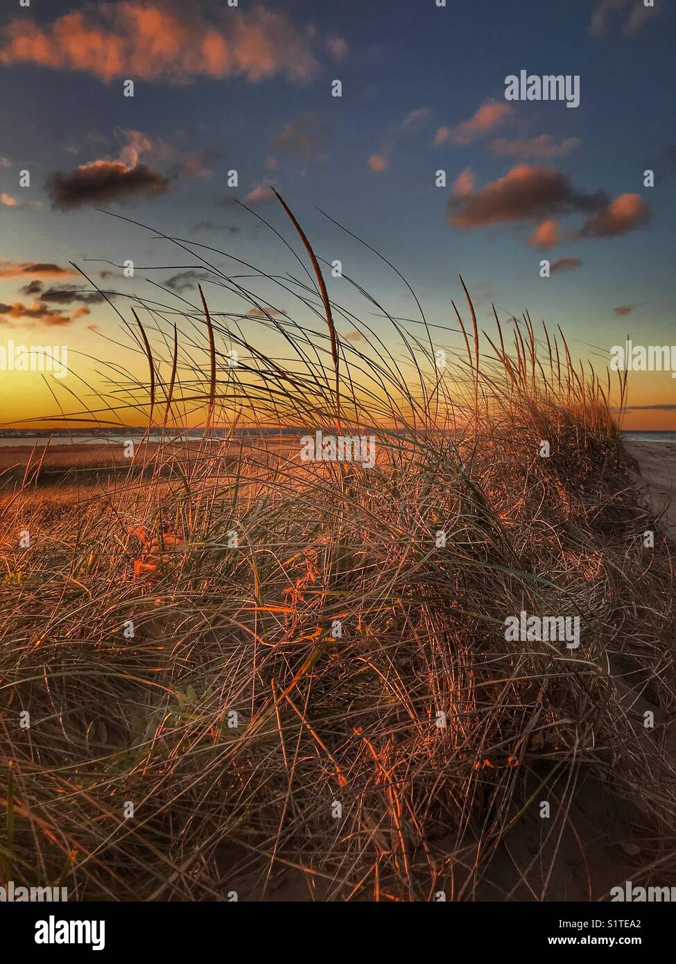 Sunset at Bouctouche Dune in Bouctouche, New Brunswick, Canada Stock Photo Alamy