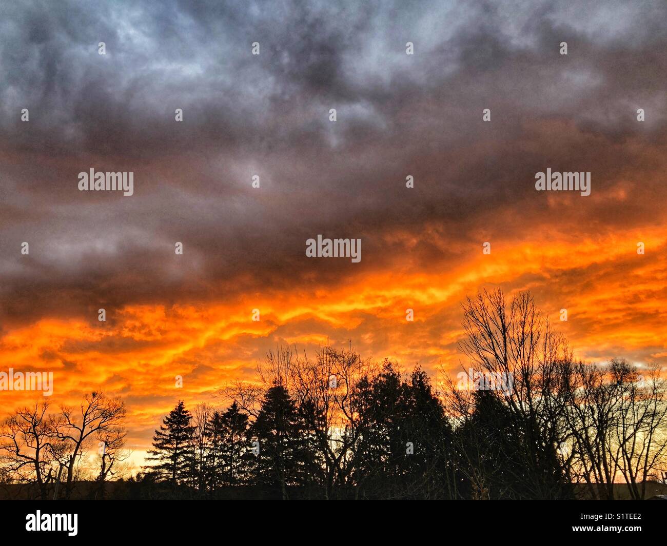 Morning sunrise looking like fire with dark ominous clouds above and silhouetted trees below Stock Photo