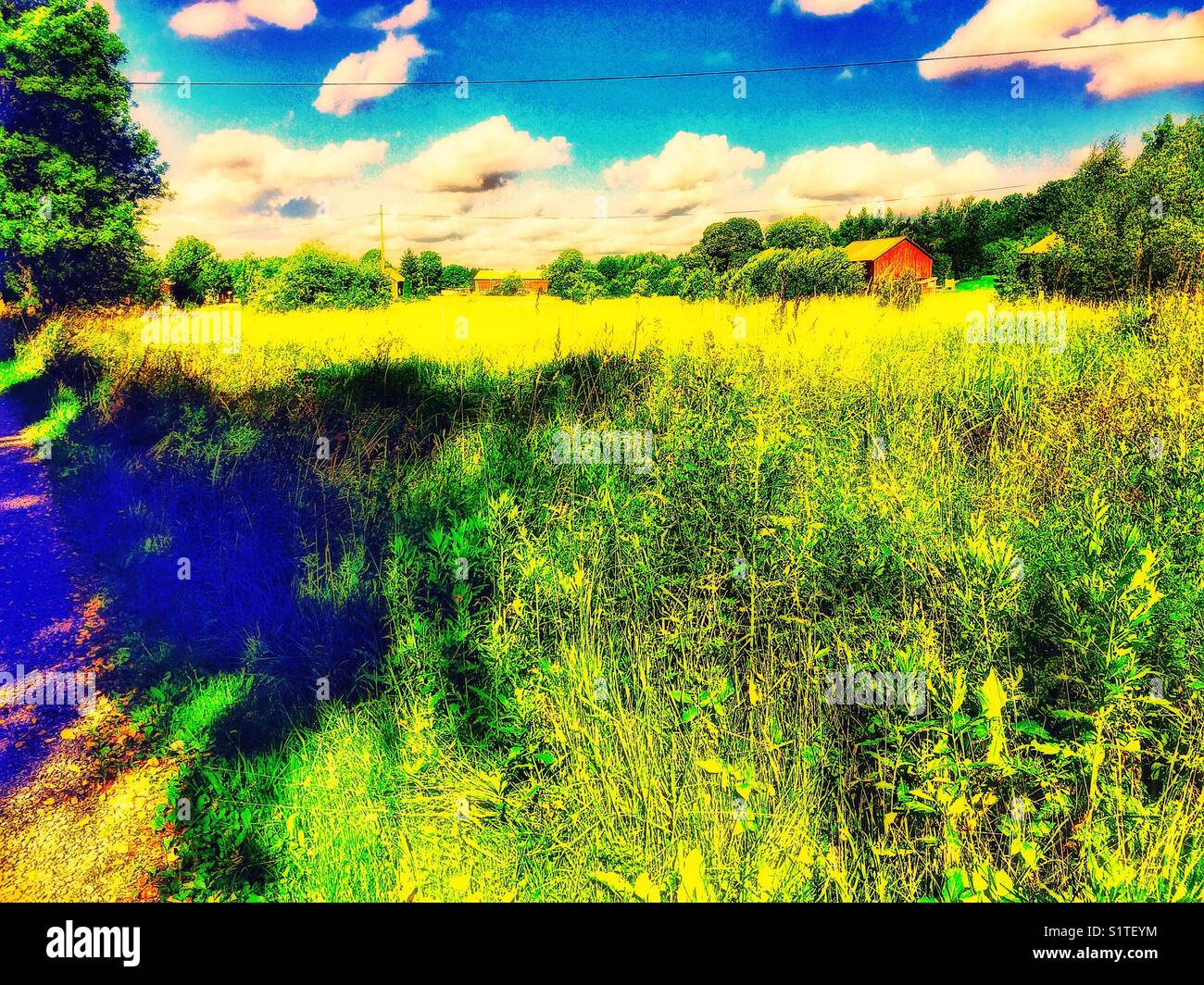 Idyllic farmland country scene with timber buildings, Sweden, Scandinavia - Smartphone Captured Stock Image