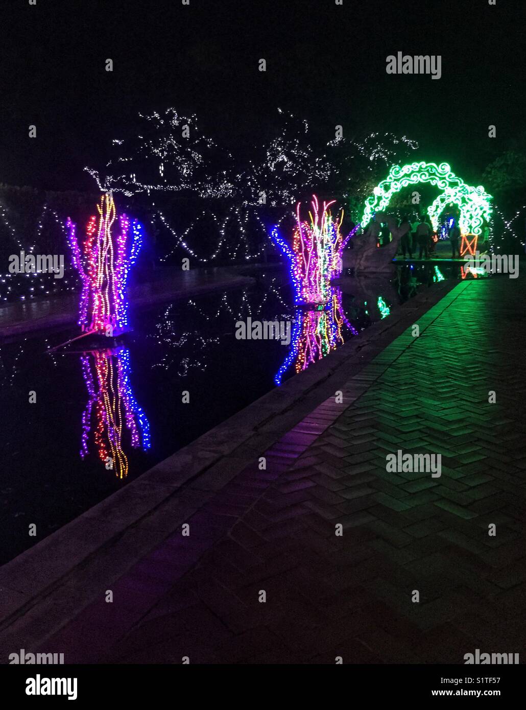 Christmas lights at New Orleans Celebration in the Oaks Stock Photo Alamy