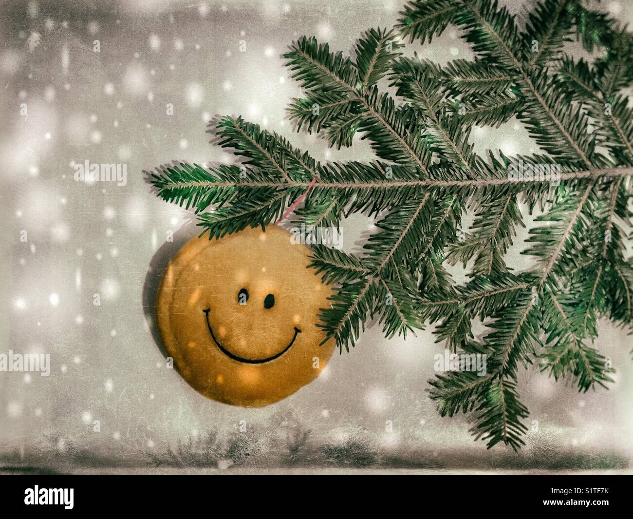 Smiley face toy hanging on a spruce tree branch. Snowy texture added - Smartphone Captured Stock Image