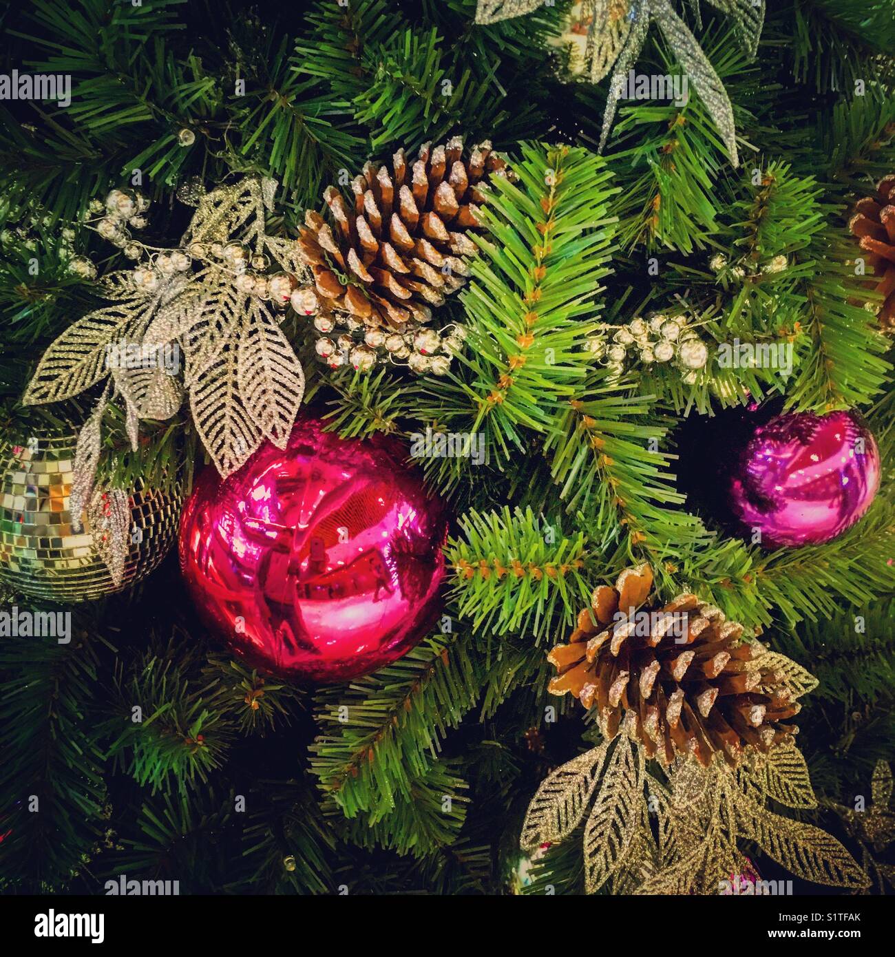 Christams ornaments & decorations on a xmas pintree - Smartphone Captured Stock Image