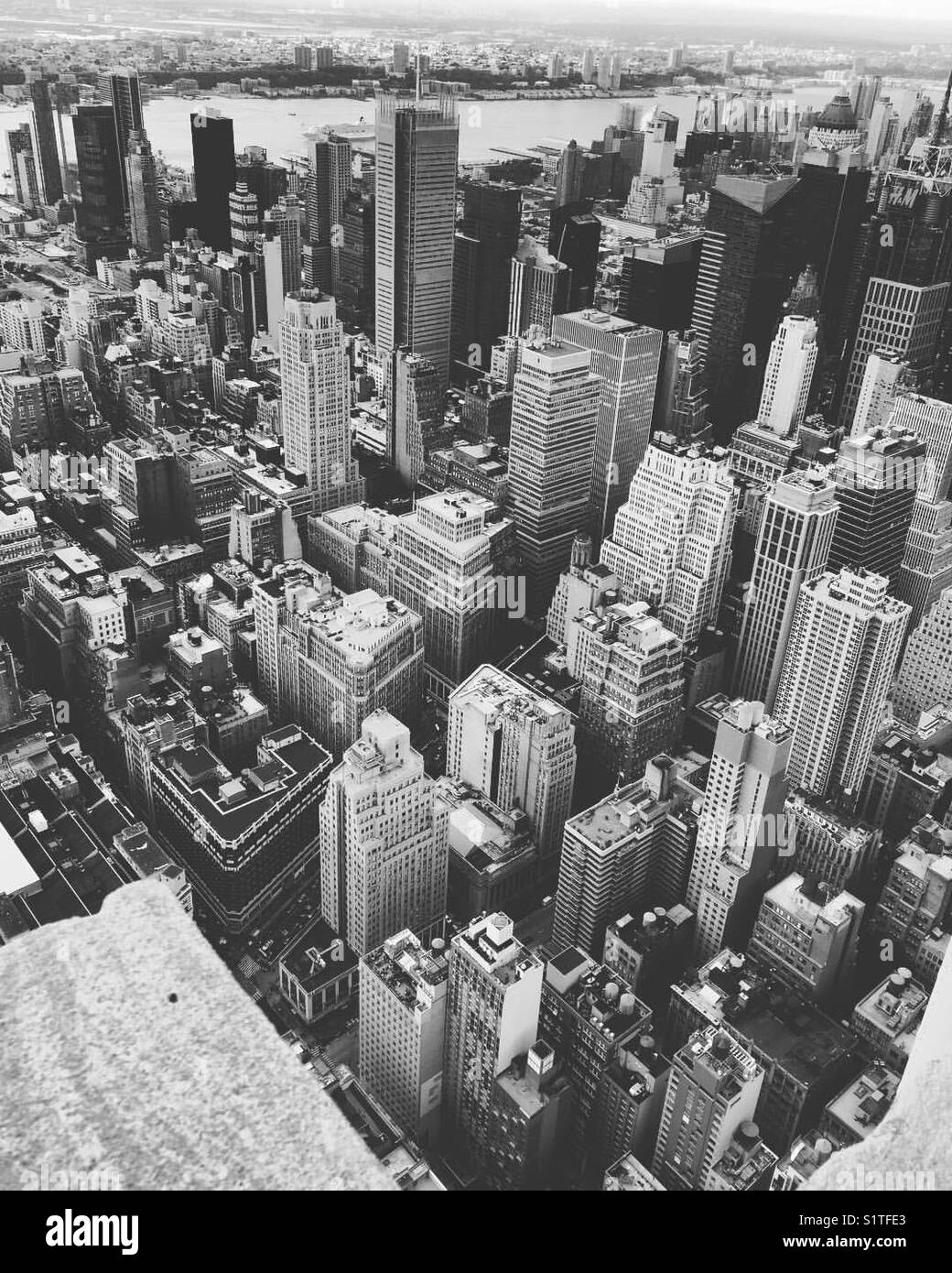 The concrete jungle Stock Photo Alamy