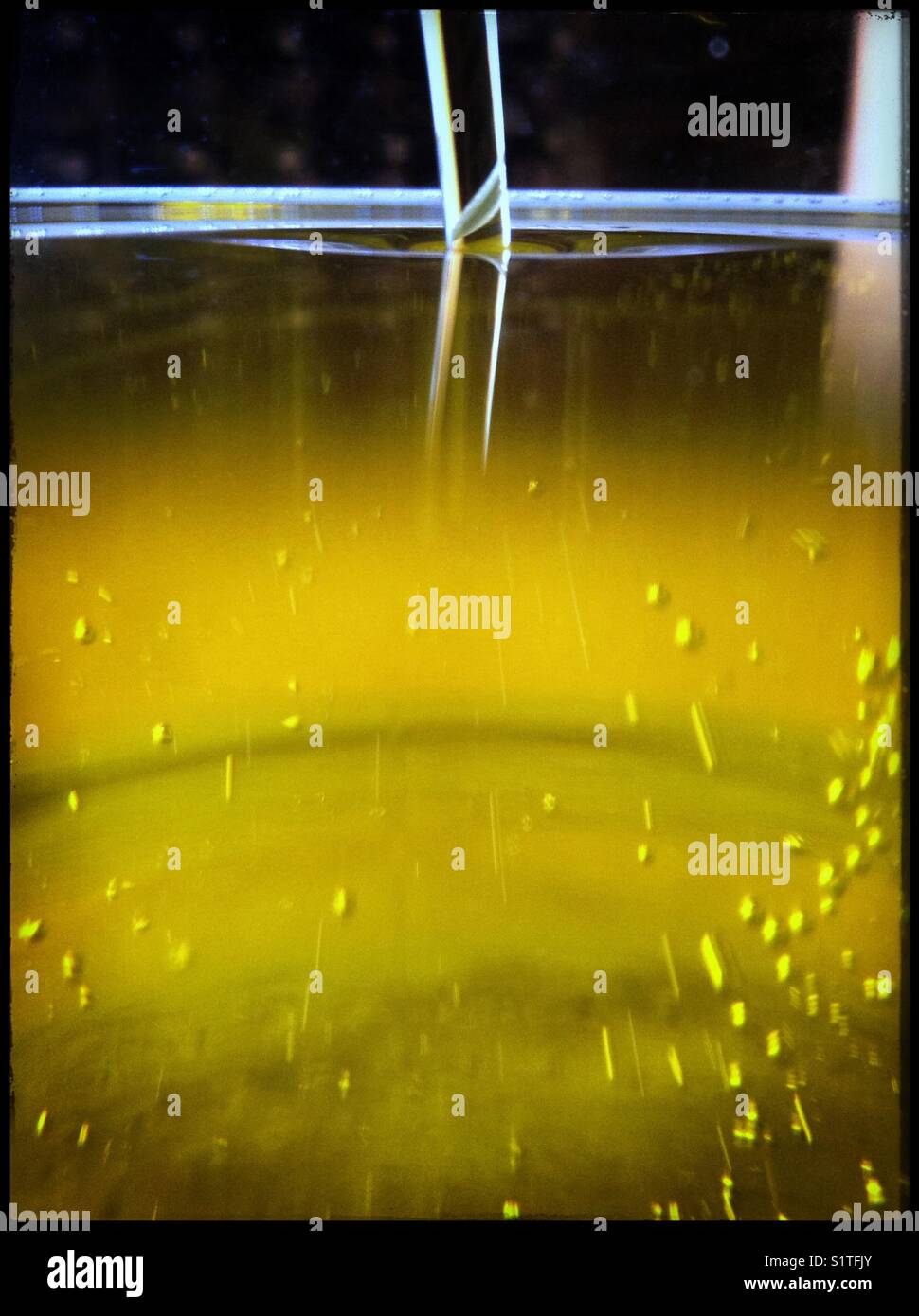 Decanting fresh extra virgin olive oil, Spain Stock Photo Alamy