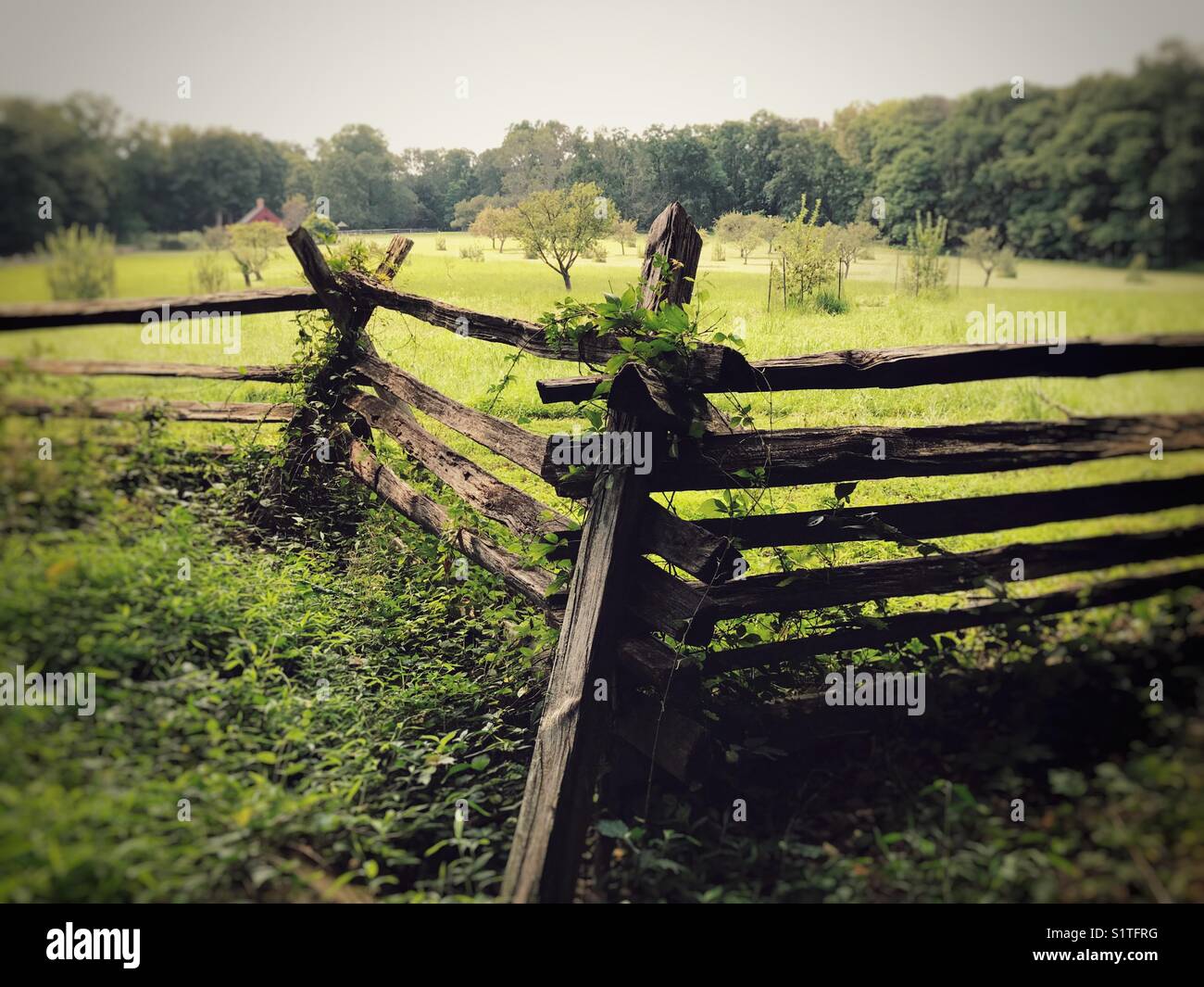 Split rail fence at the Morristown National Historic Park. Stock Photo