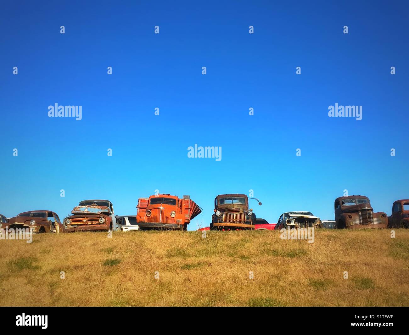 Old rusty trucks Stock Photo